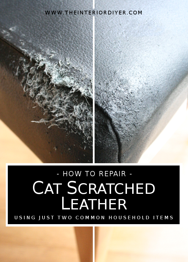 How to repair cat scratched leather using just two household items!
